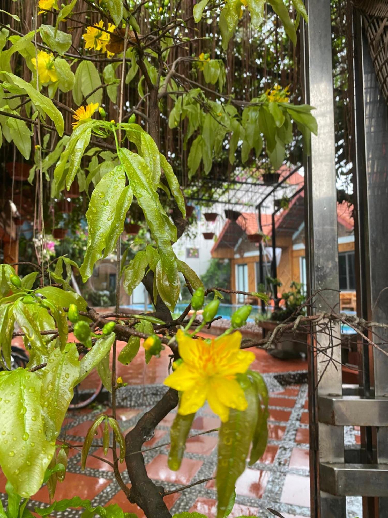 Tam Coc Charming Bungalow Ninh Bình Kültér fotó