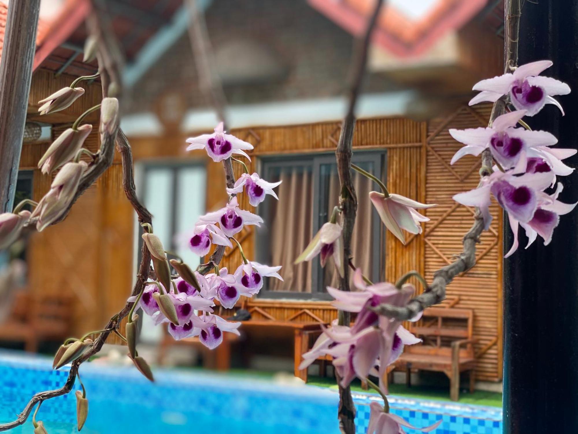 Tam Coc Charming Bungalow Ninh Bình Kültér fotó