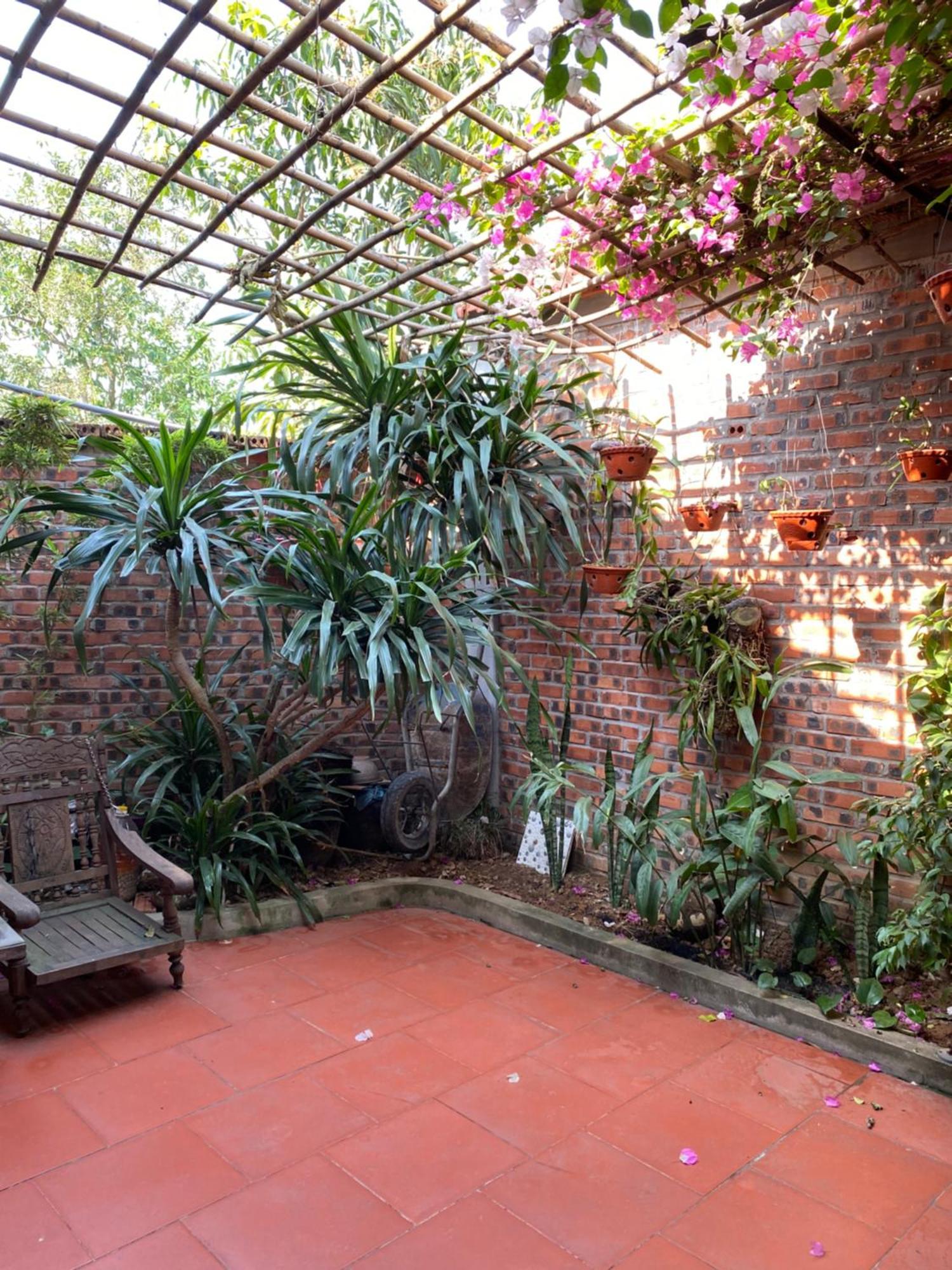 Tam Coc Charming Bungalow Ninh Bình Kültér fotó